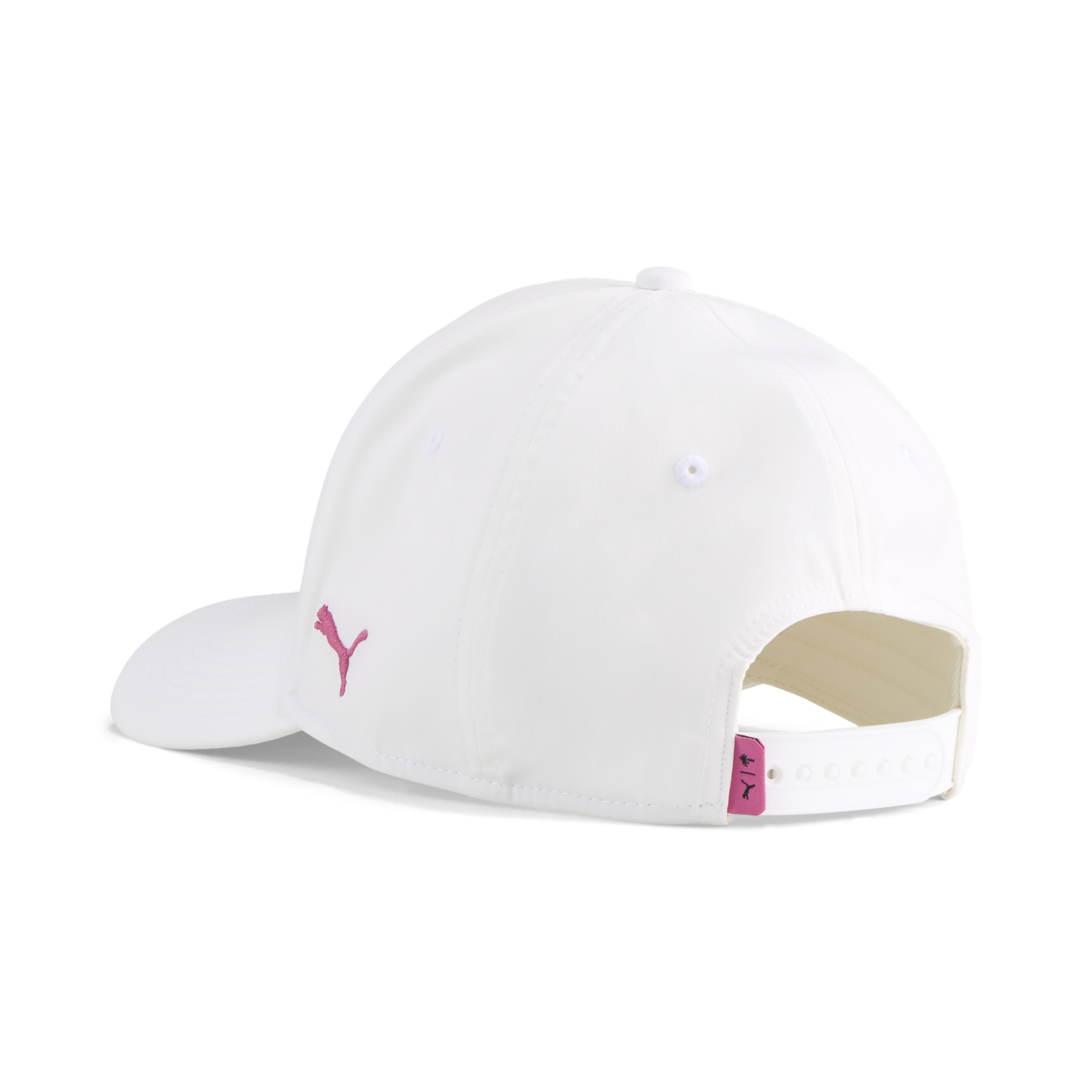 PUMA X PTC DAY FADE CAP