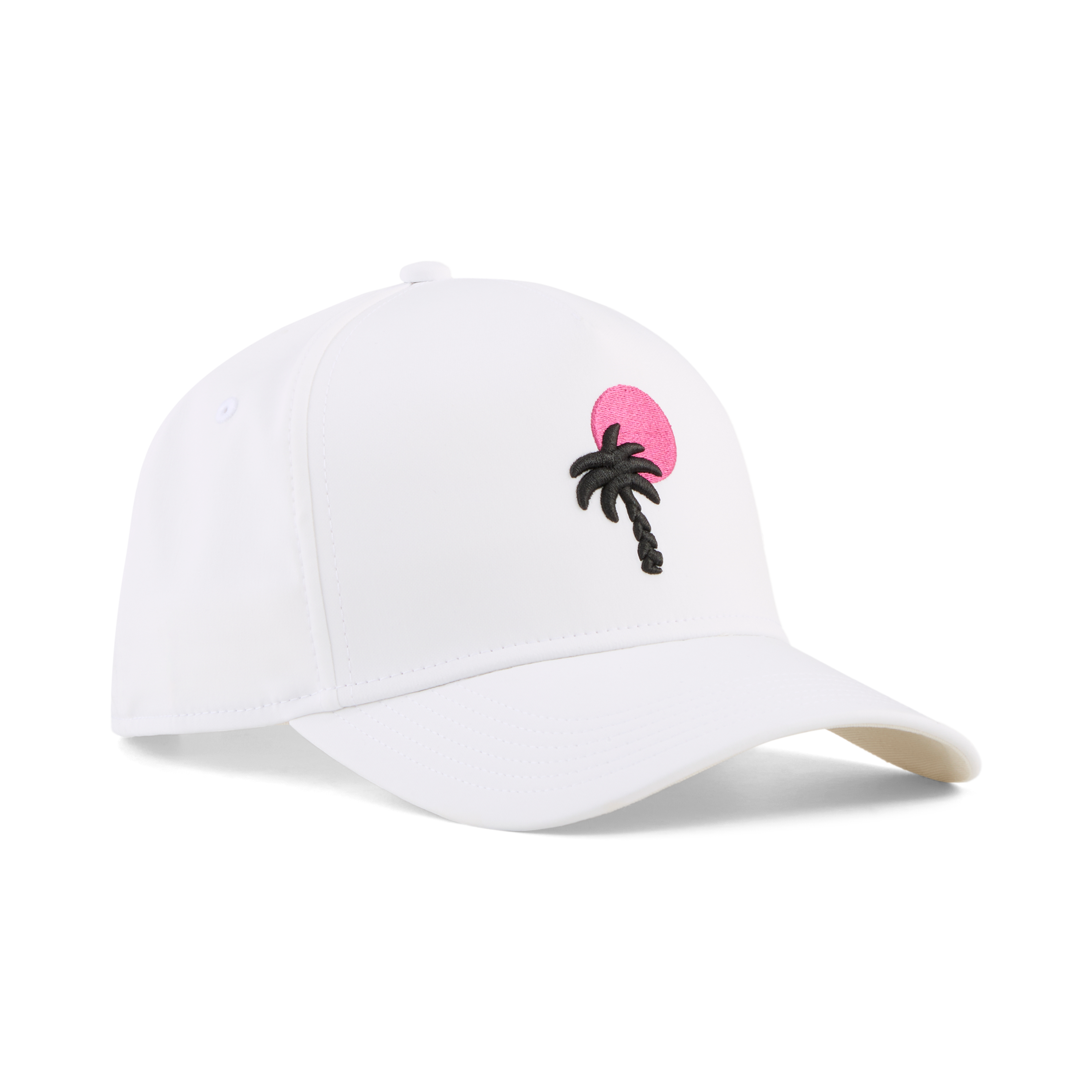 PUMA X PTC DAY FADE CAP